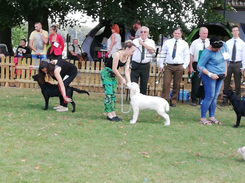 8b41d1de 313c 41e6 A2f2 77ca629c4a6c